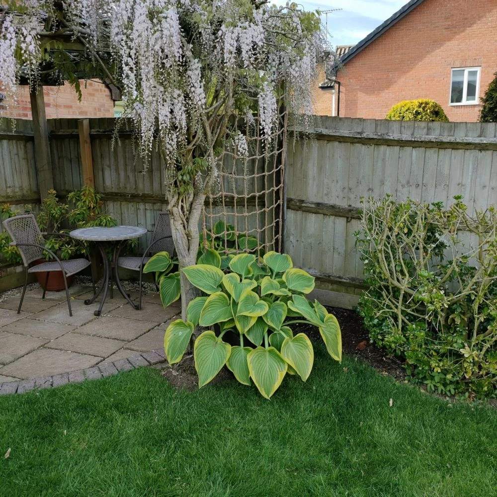 The Good Life 1.2 x 1.8m Natural Jute Rope Trellis The Good Life 1.2 X 1.8m Natural Jute Rope Trellis -Best Gardening Store 5010453008350 2