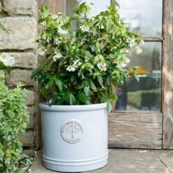 Woodlodge 38cm White / Cream Glazed Heritage Cylinder Pot -Best Gardening Store 5021346424430