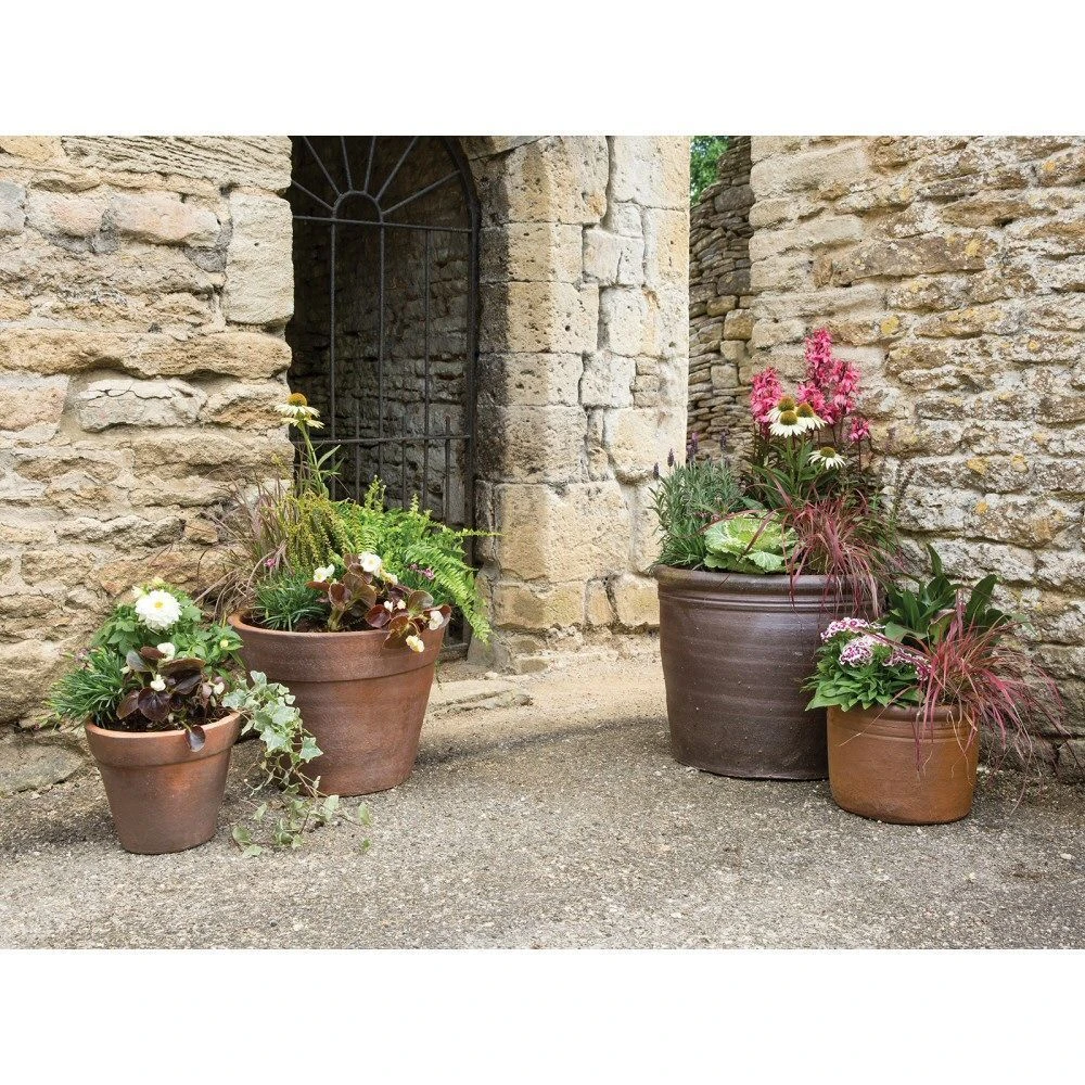 Woodlodge 22cm Thai Salt Glazed Pot Woodlodge 22cm Thai Salt Glazed Pot -Best Gardening Store 5021346489248 2