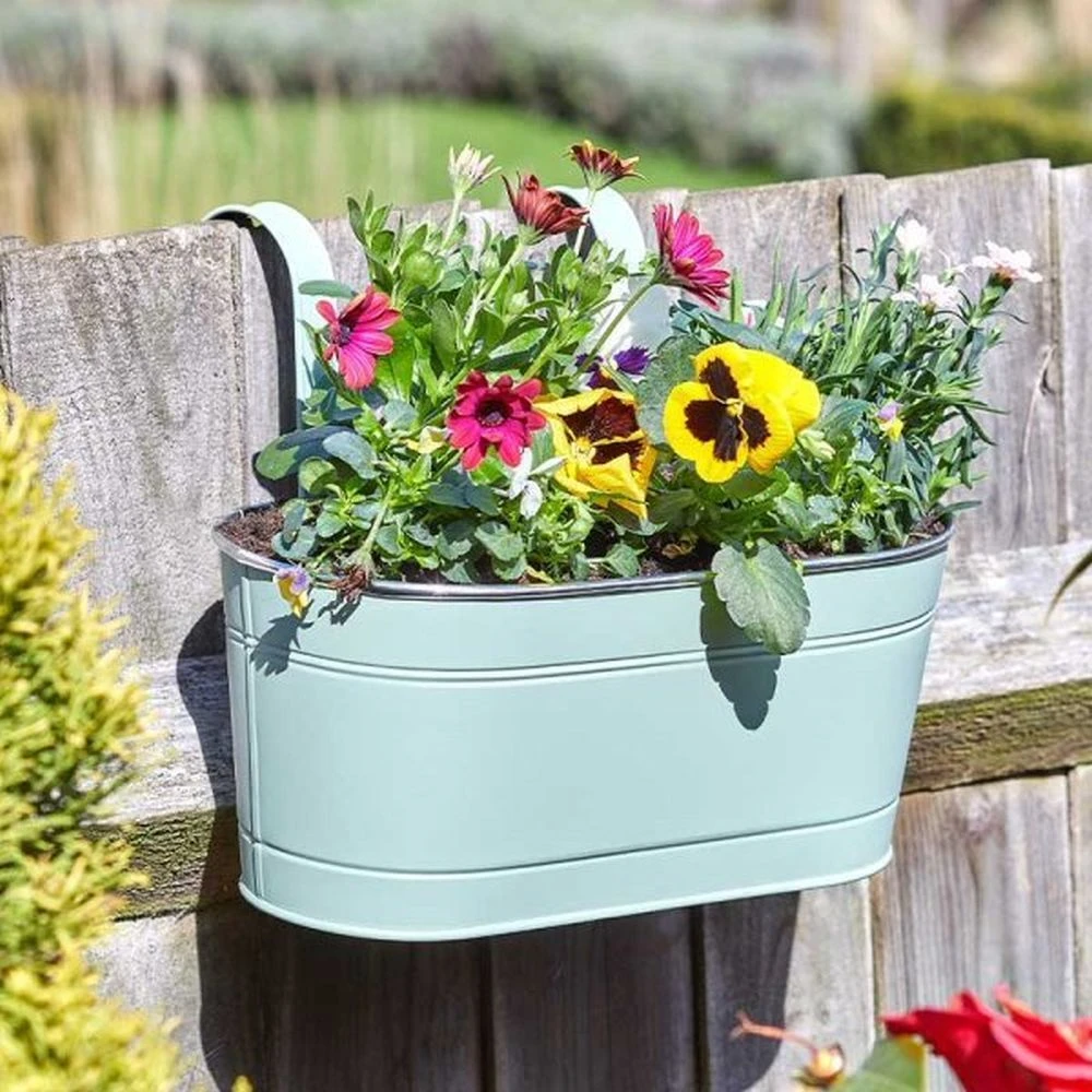 Smart Garden 30cm (12") Sage Fence & Balcony Hanging Planter Smart Garden 30cm (12") Sage Fence & Balcony Hanging Planter -Best Gardening Store 5050642049757