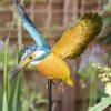 La Hacienda Inquisitive Kingfisher Stake
