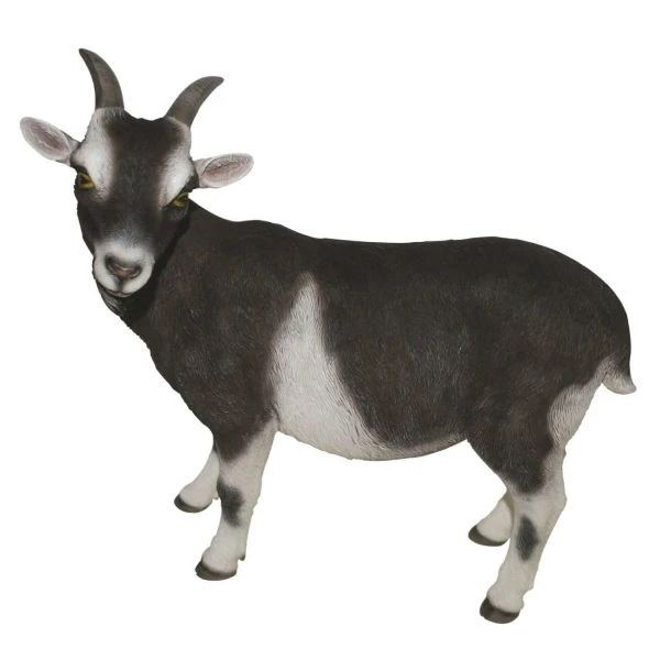 Vivid Arts 29cm Standing Goat- XRL-GOAT-D Vivid Arts 29cm Standing Goat- XRL-GOAT-D -Best Gardening Store 5055195017475