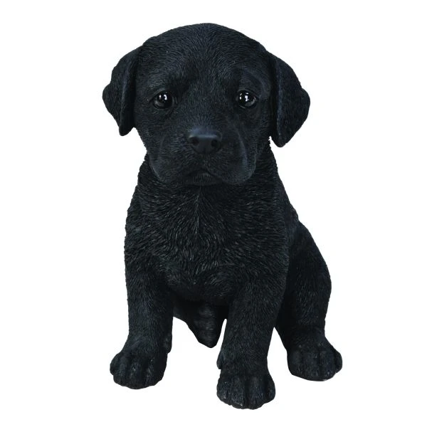 Vivid Arts 17cm Black Labrador Puppy Pet Pals - PP-BLAB Vivid Arts 17cm Black Labrador Puppy Pet Pals - PP-BLAB -Best Gardening Store 5055195023230