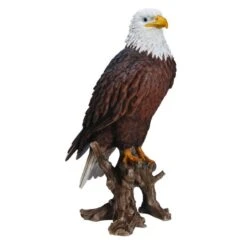 Vivid Arts 40cm American Bald Eagle - XRL-BLDE-B