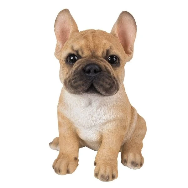 Vivid Arts 17cm Golden French Bulldog Puppy Pet Pals Vivid Arts 17cm Golden French Bulldog Puppy Pet Pals -Best Gardening Store 5055195032317