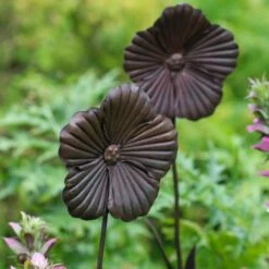 Wilstone 127cm Iron Poppy Flower Garden -Best Gardening Store 5060345971767 4