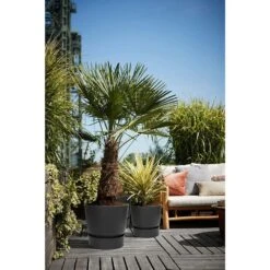 Elho 25cm Living Black Greenville Round Planter -Best Gardening Store 8711904332334 5