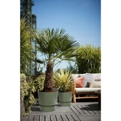 Elho 25cm Leaf Green Greenville Round Planter -Best Gardening Store 8711904332433 4