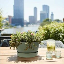 Elho 33cm Leaf Green Greenville Bowl Planter -Best Gardening Store 8711904332464 4