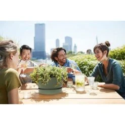 Elho 33cm Leaf Green Greenville Bowl Planter -Best Gardening Store 8711904332464 5