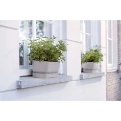 Elho 50cm Living Concrete Greenvillle Long Trough Planter -Best Gardening Store 8711904358440 4