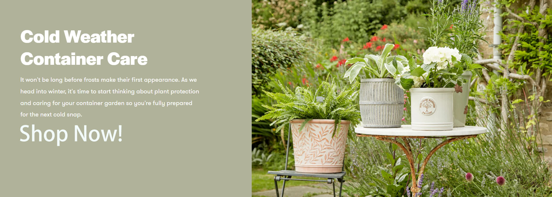 Best Gardening Store 11 Best Gardening Store -Best Gardening Store fdh